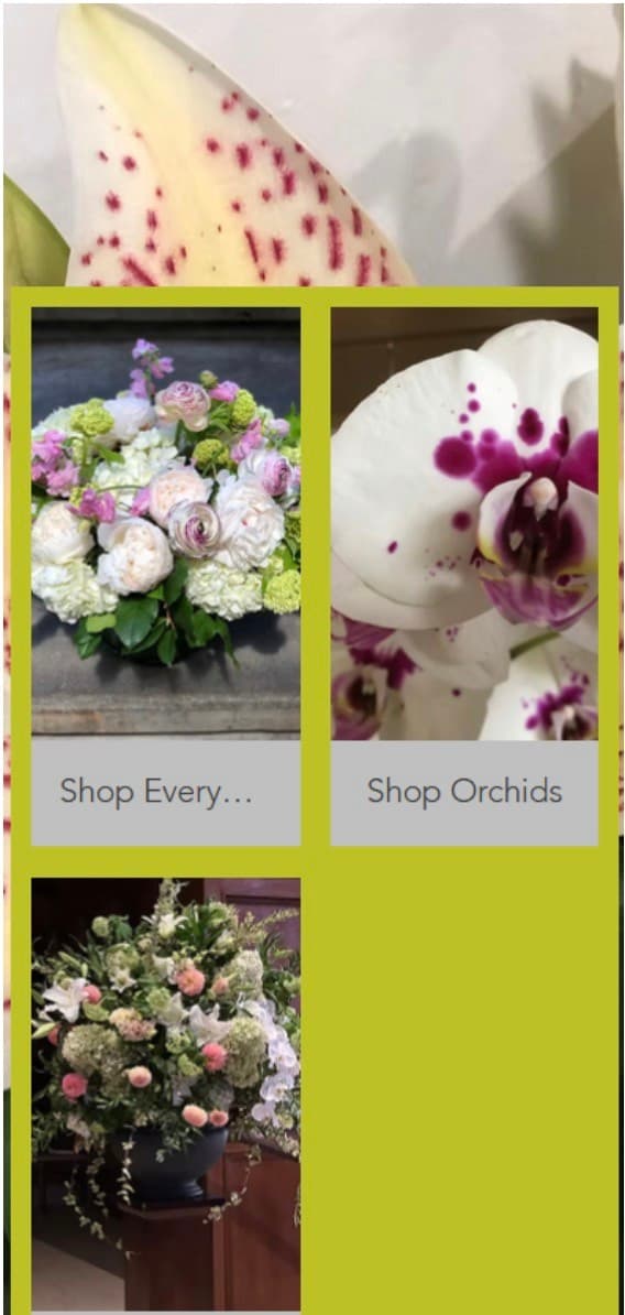 Original site photo of flowers